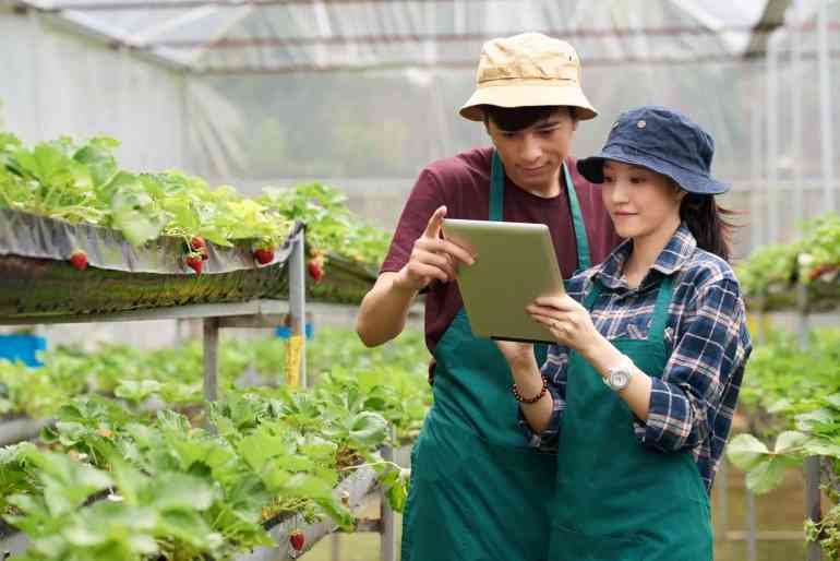 DRHP Kabupaten Malang Minta Petani Millennial Dilibatkan dalam Pengembangan Produksi