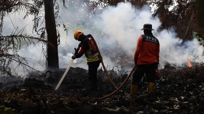 Bantuan Presiden Rp240 Miliar Mengalir, Bupati Diminta Tak Salah Langkah