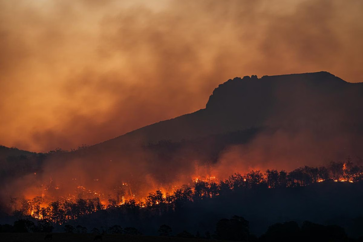 Savana Pengol Terbakar, Akses Bromo dari Kabupaten Malang Ditutup