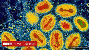 Ratusan  Virus Terdeteksi Di China Berpotensi Tularkan Ke Manusia.