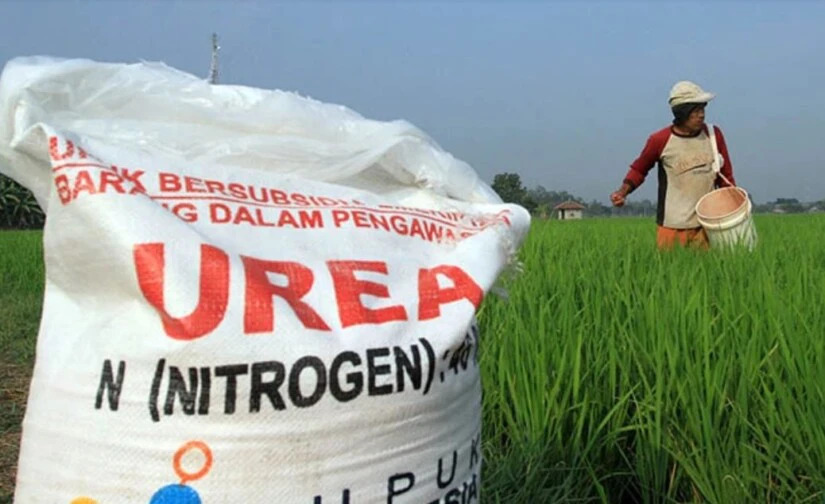 Pupuk Subsidi Jatim Belum Merata, Serapan Antar Wilayah Jomplang