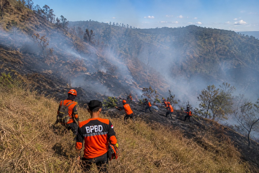 899 Hektare Lahan Bromo Terbakar, Pemadaman Terkendala Angin Kencang dan Medan Curam