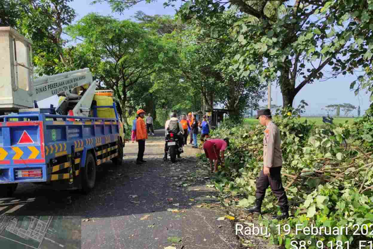 Seorang Pelajar Menjadi Korban Pohon Tumbang di Kabupaten Malang