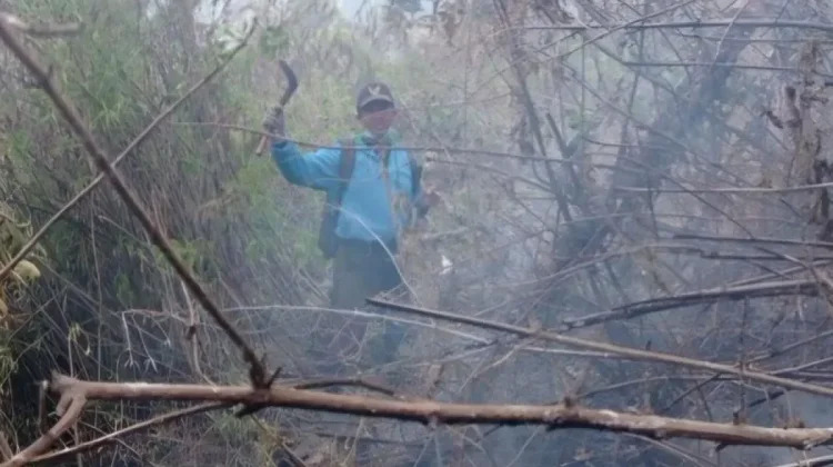 Karhutla Meluas di Pegunungan Jatim, Semeru Jadi Titik Terparah