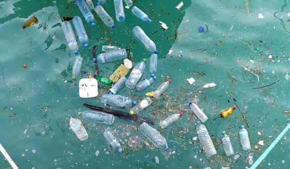Bahaya yang Tak Terlihat, Mikroplastik Laut Ancam Kesehatan Manusia