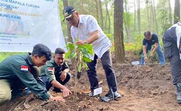 Bupati Malang Tinjau Penebangan Pohon Di Jalur Gondanglegi Bantur