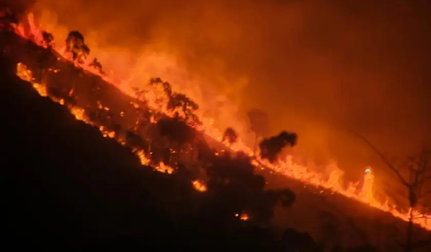 Gunung Arjuno Kembali Terbakar, Medan Terjal Hambat Pemadaman