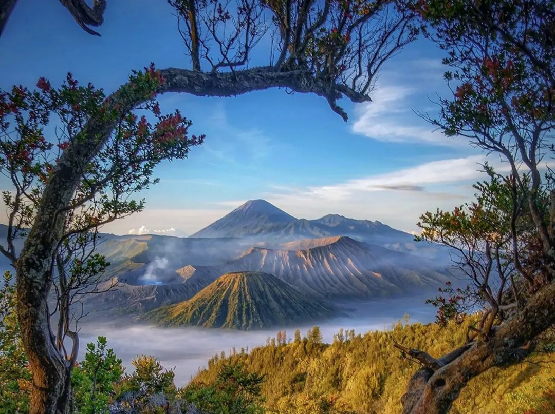 Wisata Gunung Bromo Akan Ditutup Sementara