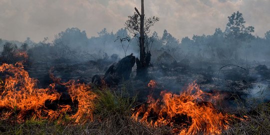 Kemarau Belum Memuncak, Klaten Sudah Dihantam Dua Ancaman Sekaligus
