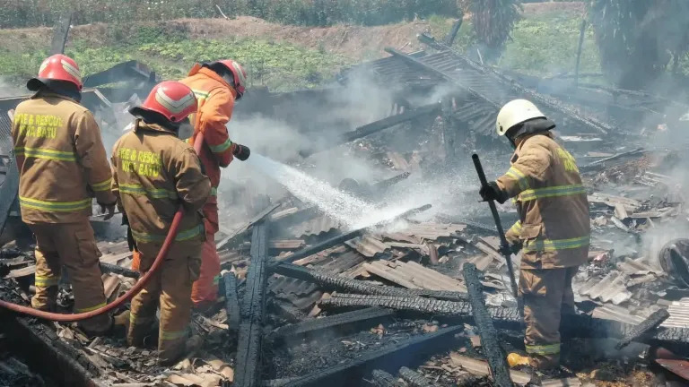 Mesin Pemanas Overheat, Peternakan Ayam di Batu Hangus