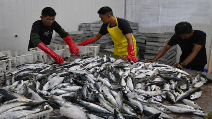 Kabupaten Malang Rencanakan Bangun Pabrik Es Batu