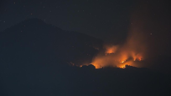 Helikopter Tertahan Awan Rendah, Tim Darat Berpacu Cegah Api Meluas di Arjuno-Welirang