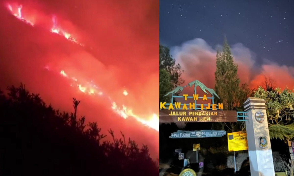 Karhutla Ijen Capai 20 Hektare, Pemadaman Dikepung Angin Kencang dan Kabut Tebal