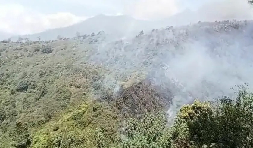 Karhutla Kembali Muncul di Lereng Bromo, Titik Api Sulit Dijangkau Petugas
