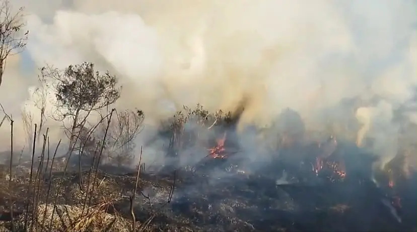 Tebing Curam dan Kabut Tebal Jadi “Benteng” Api di Gunung Semeru