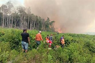 BPBD Kota Batu Imbau Masyarakat Waspada Kebakaran  Di Musim Kemarau.