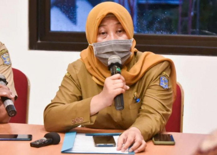 Puluhan Kasus Flu Singapura Terdeteksi di Surabaya