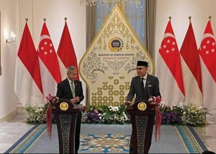 Tak Cukup Padamkan Api, Indonesia-Singapura Bentuk Satgas Penyelidikan Karhutla