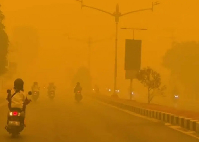 Udara Palangkaraya Memburuk, Menkes Ingatkan Risiko Polutan PM2.5