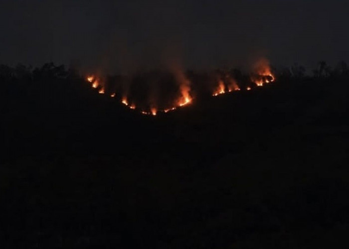 Kebakaran Gunung Bromo Kian Meluas, BNPB Siapkan Helikopter Water Bombing