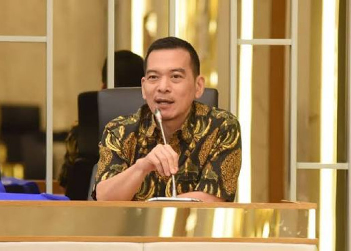 DPR RI Desak Karhutla Kalimantan Naik Status Jadi Bencana Nasional