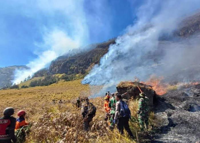 Tiga Titik Api Tersisa di Bromo, Tim Pemadam Berpacu dengan Angin dan Tebing Curam
