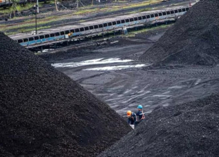 Pasok 43 Persen Batu Bara Dunia, Indonesia Masih Hadapi Masalah Kendali Harga
