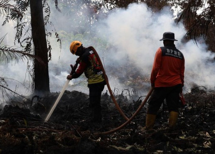 Bantuan Presiden Rp240 Miliar Mengalir, Bupati Diminta Tak Salah Langkah