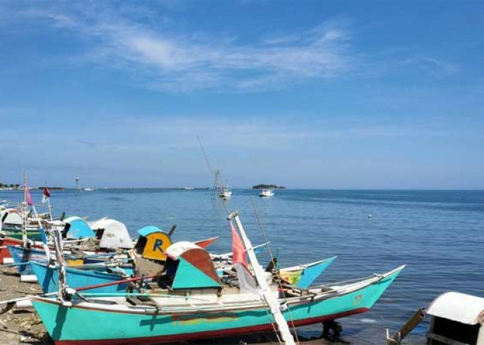 Pesisir dan Perbatasan Wilayah Indonesia Rentan Peredaran Narkoba