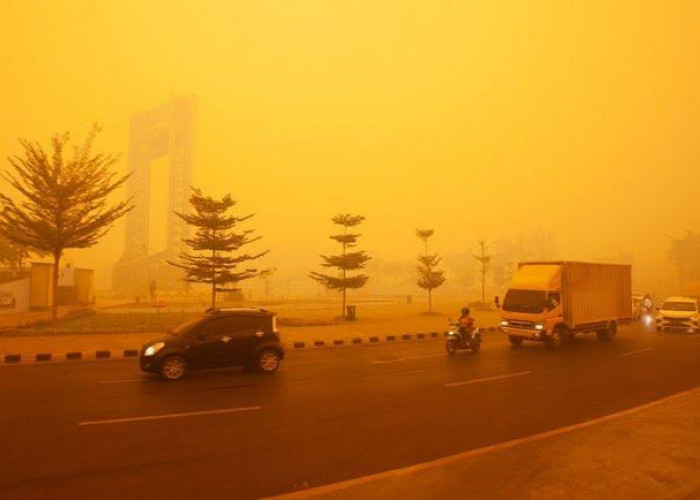 Titik Panas Karhutla Diklaim Turun, Kabut Asap Masih Jadi Alarm ASEAN