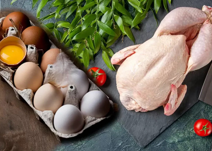 Satgas Pastikan Stok Telur dan Daging Ayam di Kabupaten Malang Aman