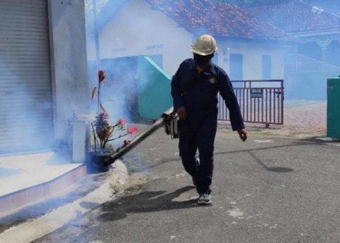 Kasus Chikungunya di Kabupaten Malang Meningkat