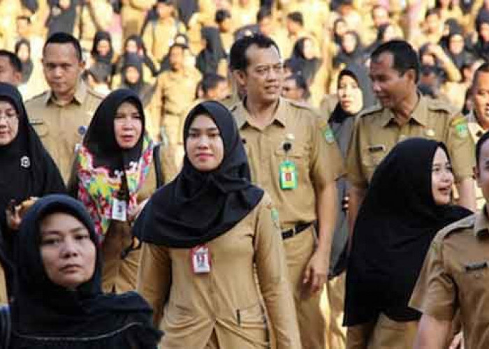 Sepertiga ASN di Indonesia Berpendidikan di Bawah Diploma, BKN Dorong Transformasi Birokrasi