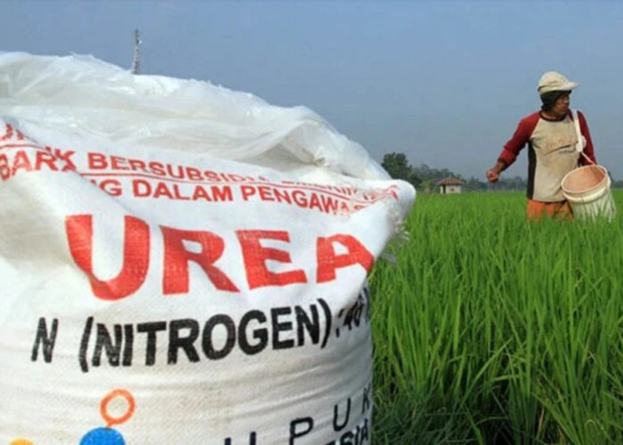 Pupuk Subsidi Jatim Belum Merata, Serapan Antar Wilayah Jomplang