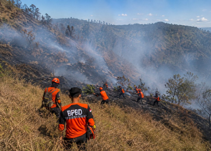 899 Hektare Lahan Bromo Terbakar, Pemadaman Terkendala Angin Kencang dan Medan Curam