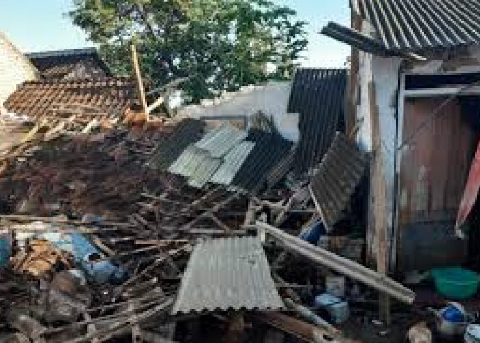 Gempa 4.3 Magnitudo Melanda Jember