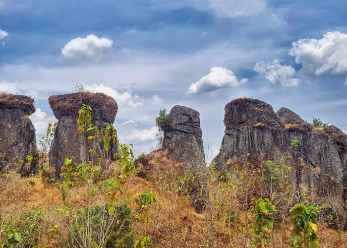 Ribuan Situs Megalitik Belum Jadi Ikon Bondowoso, Pemkab Genjot Wisata Sejarah Berbasis Cagar Budaya