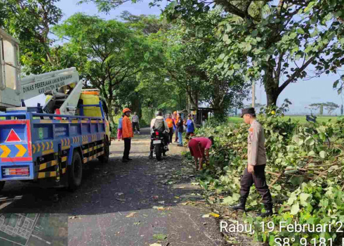 Seorang Pelajar Menjadi Korban Pohon Tumbang di Kabupaten Malang