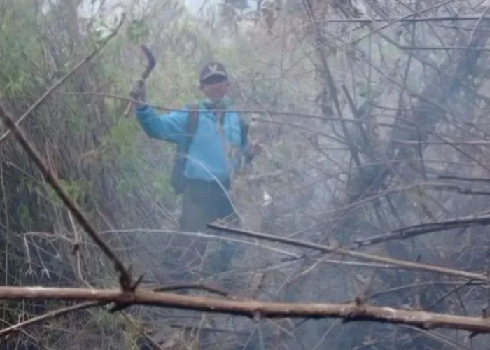 Karhutla Meluas di Pegunungan Jatim, Semeru Jadi Titik Terparah