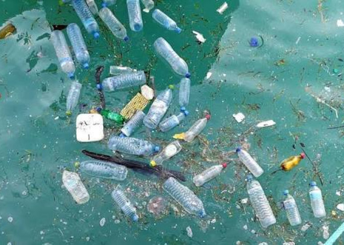 Bahaya yang Tak Terlihat, Mikroplastik Laut Ancam Kesehatan Manusia