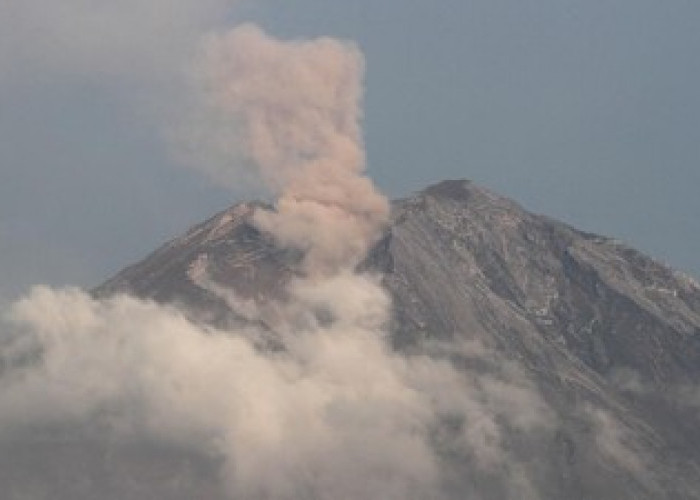 Gunung Semeru Alami Puluhan Erupsi dalam Sehari