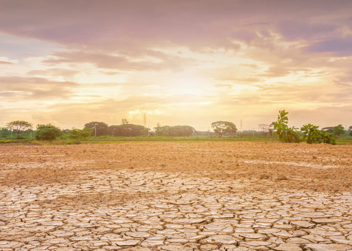 Indonesia Masuk El Nino Kuat, Pemerintah Fokus Selamatkan Cadangan Air