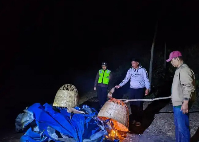 Arena Sabung Ayam di Tengah Kebun Dibakar Polisi, Berawal dari Laporan Warga