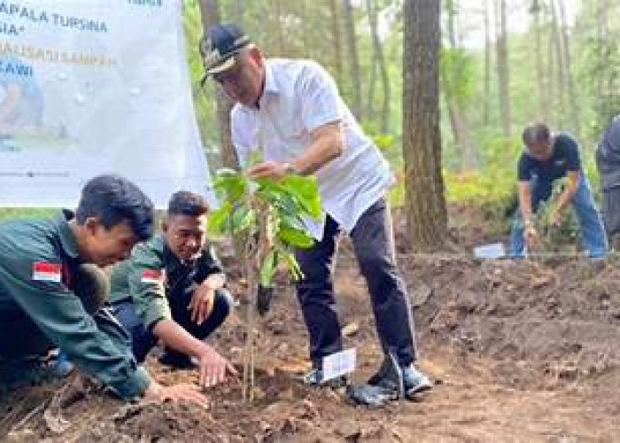 Bupati Malang Tinjau Penebangan Pohon Di Jalur Gondanglegi Bantur