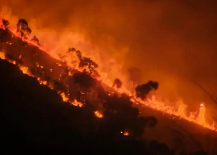 Gunung Arjuno Kembali Terbakar, Medan Terjal Hambat Pemadaman