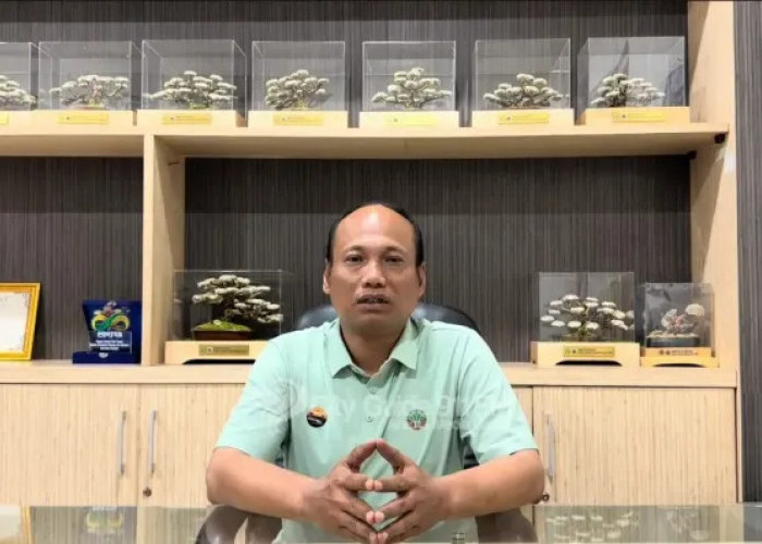 Nekat Masuk Semeru secara Ilegal, Delapan Pendaki Kena Blacklist Nasional