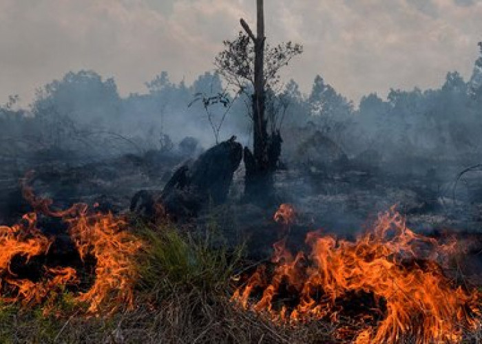 Kemarau Belum Memuncak, Klaten Sudah Dihantam Dua Ancaman Sekaligus