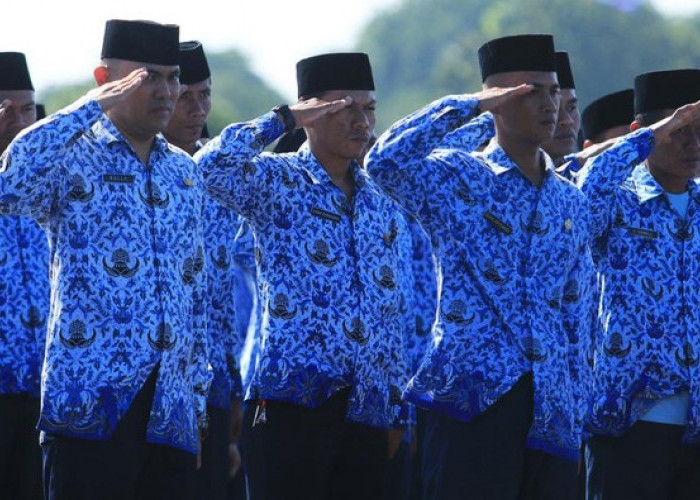 Lebih Dari 6 Ribu Tenaga Honorer Di Kabupaten Malang Diusulkan Jadi PPPK