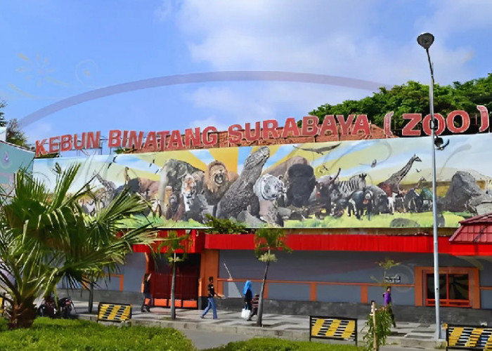 Tak Cukup Jago Bisnis, Direksi Baru KBS Dituntut Utamakan Satwa di Tengah Tekanan Pendapatan