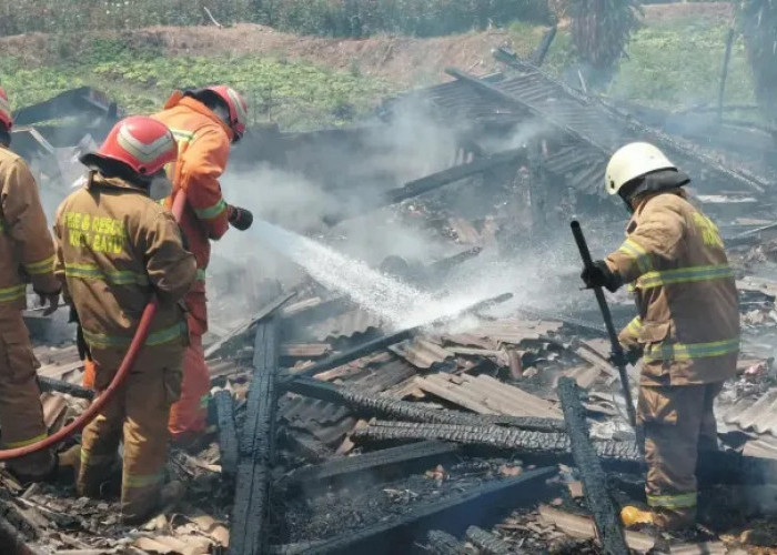 Mesin Pemanas Overheat, Peternakan Ayam di Batu Hangus